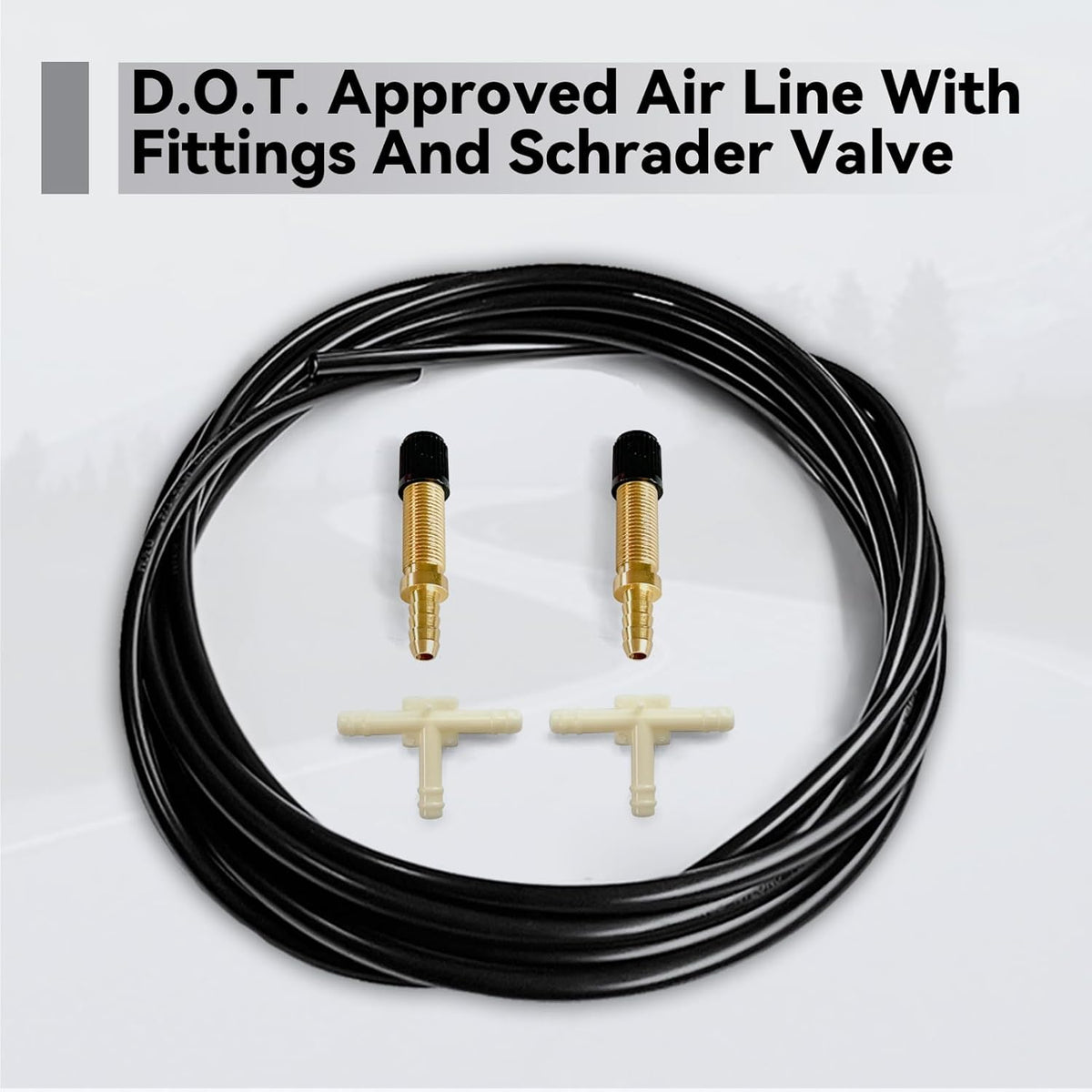 Kit Air Lift 1000 Lb Para Toyota 4runner Fj Prado